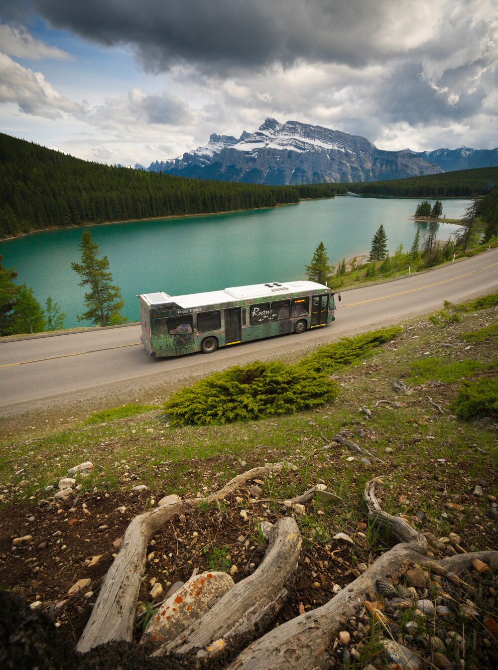 A Roam Transit bus drives on the Minnewanka Loop in Banff National Park. There are tree roots in the foreground of the picture, which was taken from the side of a hill looking down towards Two Jack Lake. Mount Rundle sits in the distance with a cloudy blue-sky above it.